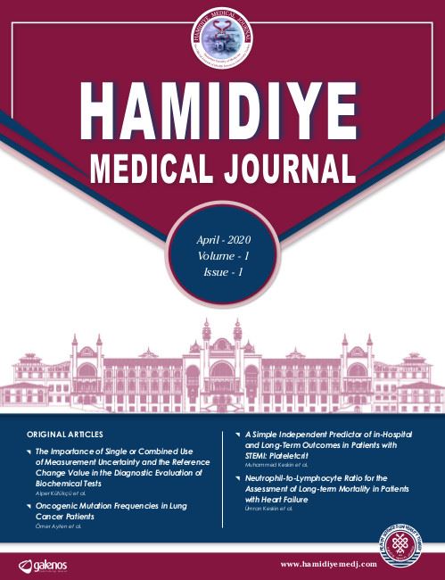 Hamidiye Medical Journal