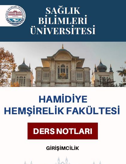 Girişimcilik