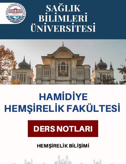 Hemşirelik Bilişimi