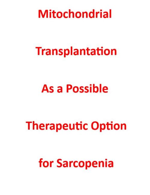 Mitochondrial Transplantation As a Possible Therapeutic Option for Sarcopenia