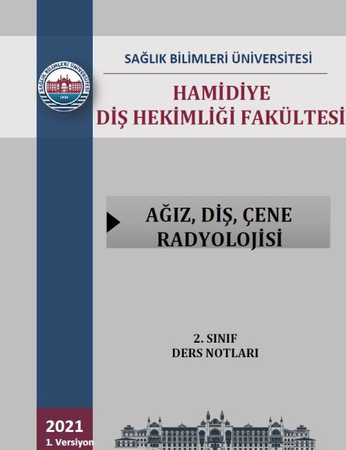 Ağız Diş Çene Radyolojisi 2. Sınıf Ders Notları