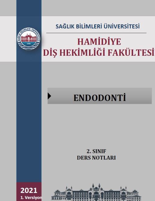 Endodonti 2. Sınıf Ders Notları