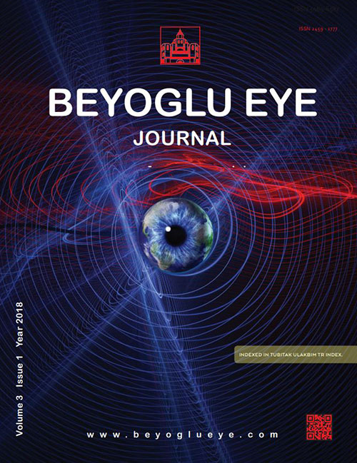 Beyoglu Eye Journal