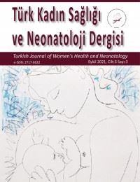 Türk Kadın Sağlığı ve Neonatoloji Dergisi