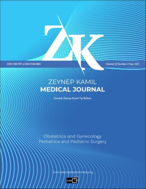 İstanbul Zeynep Kamil Kadın ve Çocuk Hastalıkları Eğitim ve Araştırma Hastanesi Tıp Dergisi